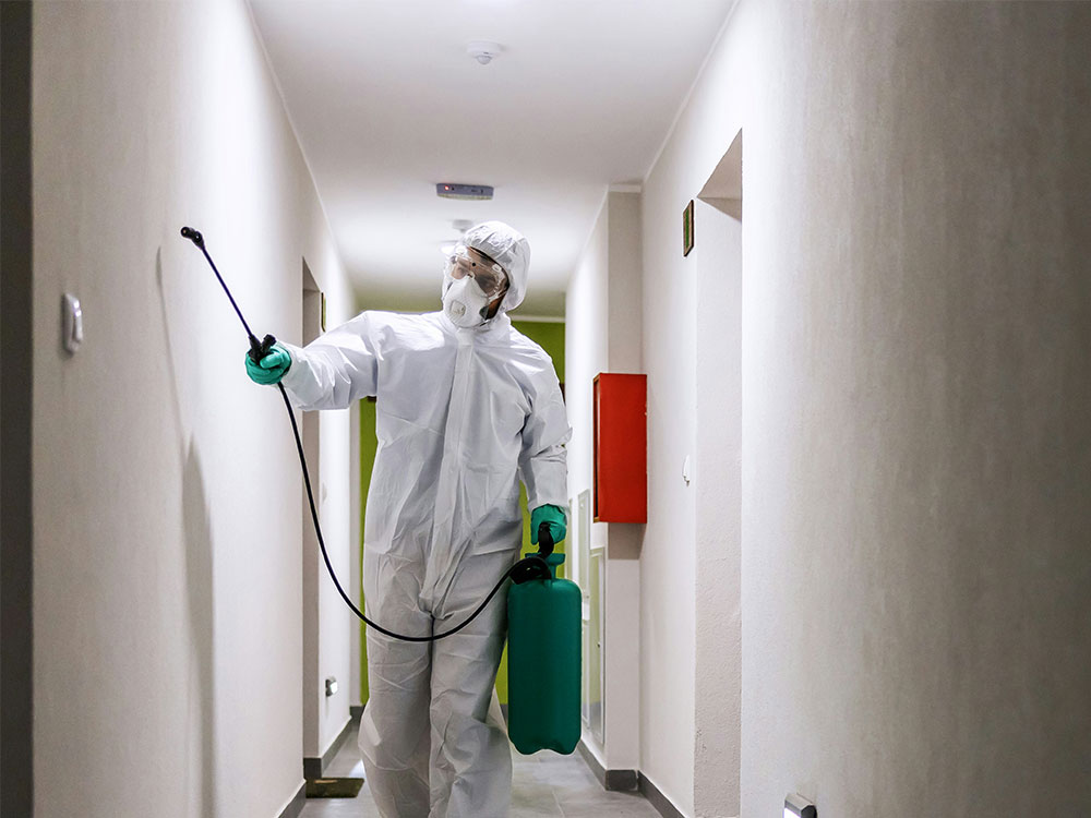 Specialist spraying indoor corridor walls for mould and moisture remediation