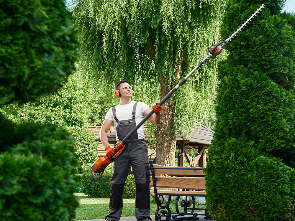 Professional grounds maintenance contractor trimming tall hedges using specialized power equipment